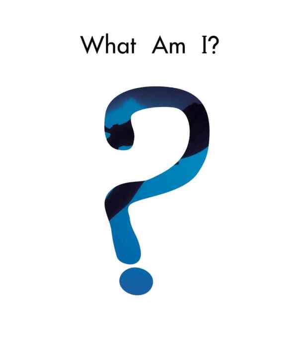 What Am I? - Image 2