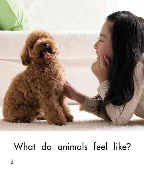 What Do Animals Feel Like? - Image 3