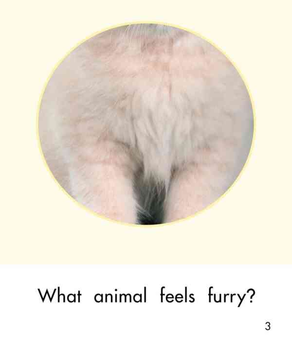 What Do Animals Feel Like? - Image 4