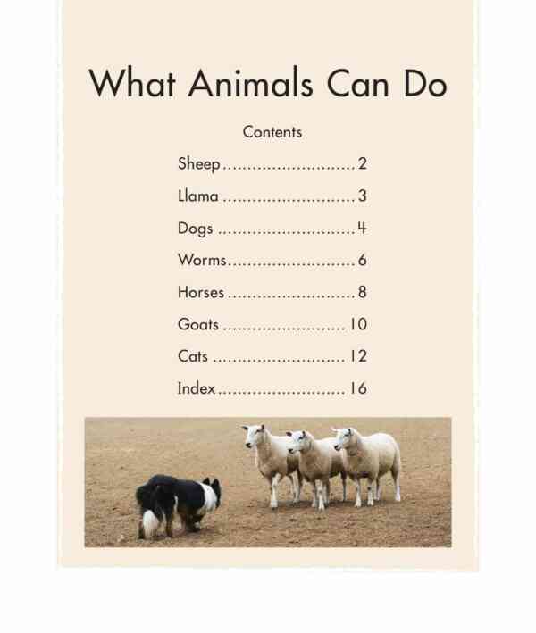 What Animals Can Do - Level 12, 1x6 books - Image 2