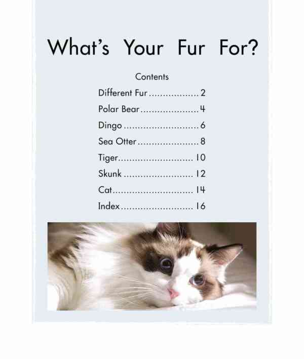 What’s Your Fur For? - Level 10, 1x6 books - Image 2