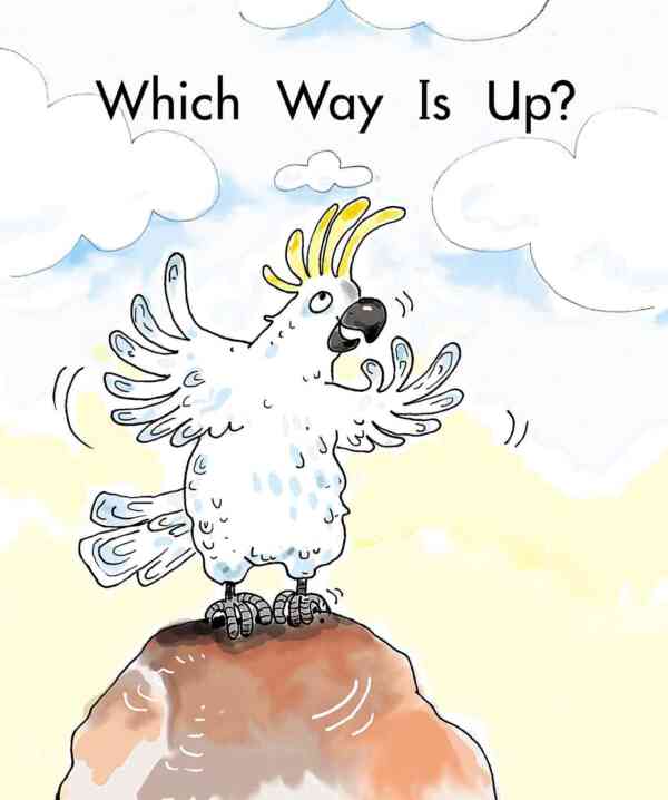 Which Way is Up? - Image 2