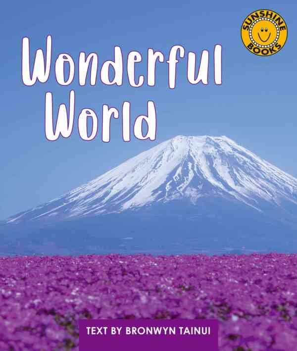 Wonderful World