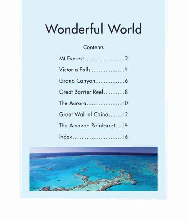 Wonderful World - Image 2