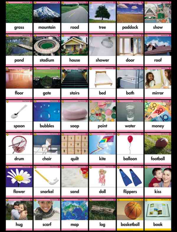 Content Word Flash Cards - Image 4